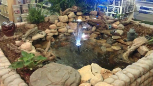 Come visit our showroom and enjoy our pond display!