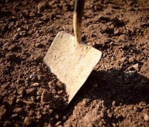 Shovel in Dirt